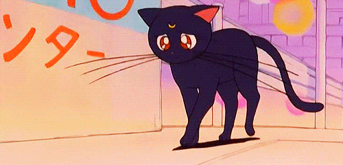 gif of tired, sad, and unmotivated cat
