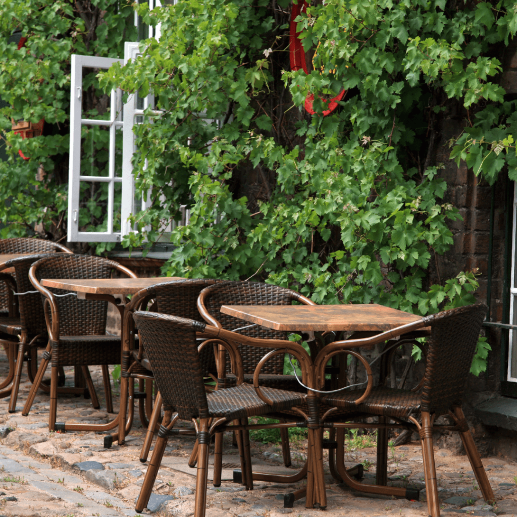 outdoor cafe surrounded by beautiful green vines and leaves